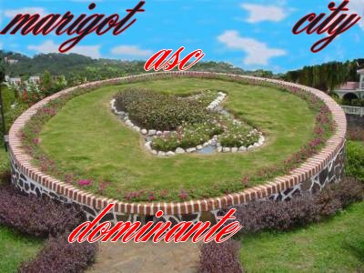 c nous mm