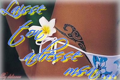 laisse ton adresse msn merci